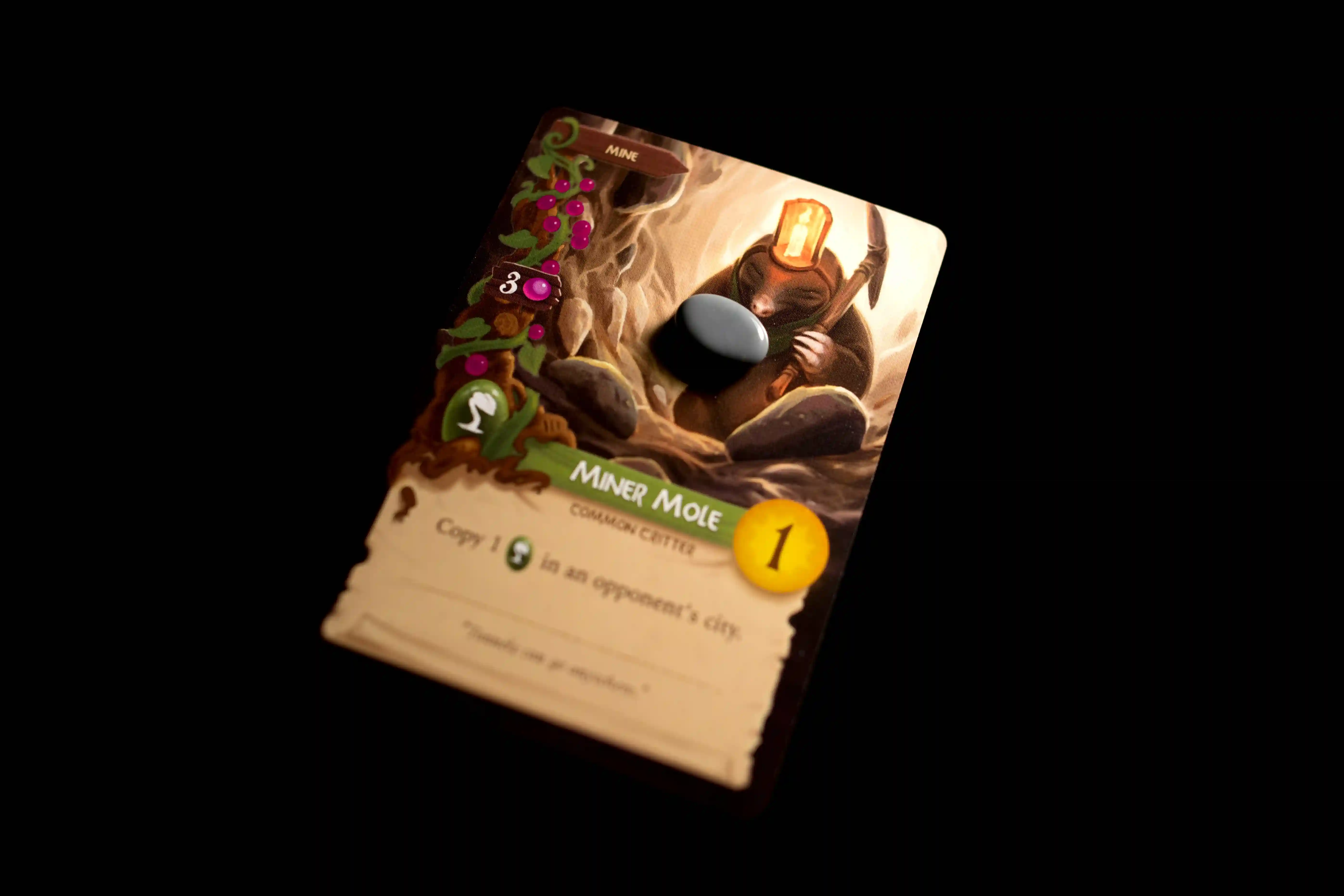 Thumbnail 12